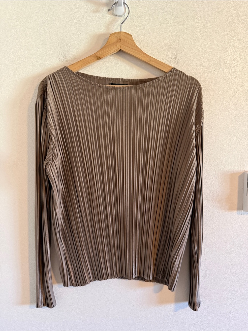 Ruti Relaxed Pleated Long Sleeve Blouse Women's Size S/M Plisse Taupe Brown